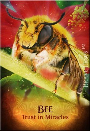 Fridge Magnets Bee Spirit Guide Animal 643x940
