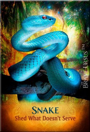 Fridge Magnets Snake Spirit Guide Animal 643x940