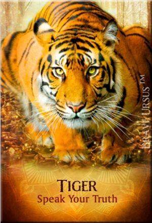 Fridge Magnets Tiger Spirit Guide Animal 643x940