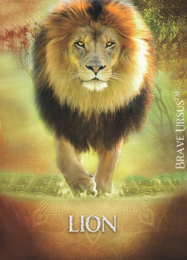 Prayer Cards Altar Lion Spirit Animal Front 600x834