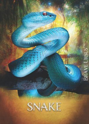 Prayer Cards Altar Snake Spirit Animal Front 600x834
