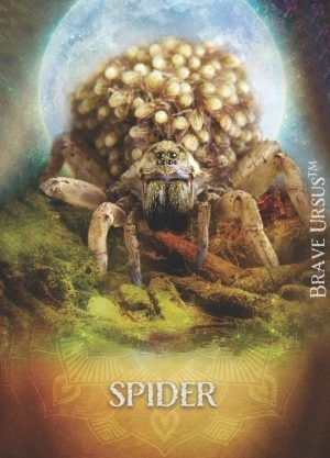 Prayer Cards Altar Spider Spirit Animal Front 600x834