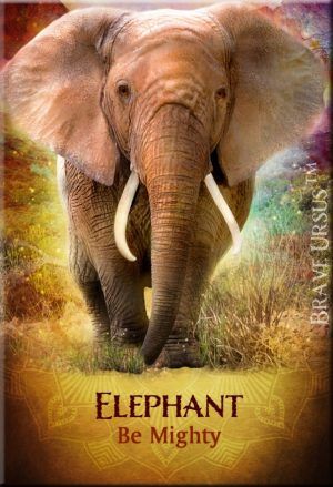 Fridge Magnets Elephant Spirit Guide Animal 643x940