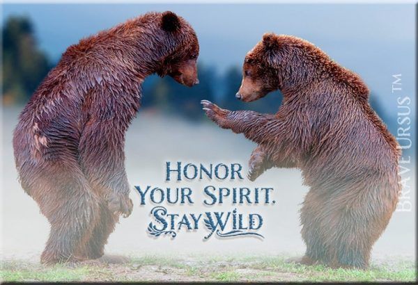 Fridge Magnets Stay Wild Honor Bear Spirit Guide Animal 643x940