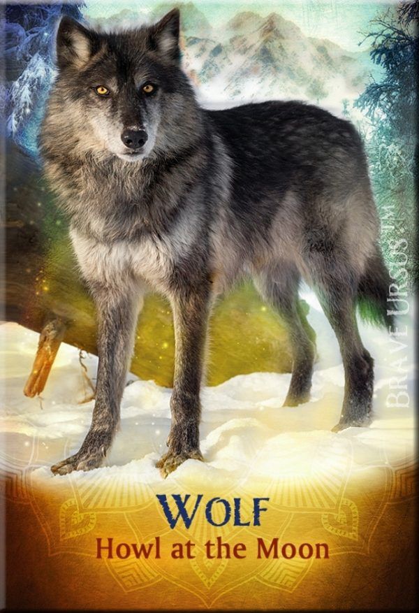 Fridge Magnets Wolf Spirit Guide Animal 643x940